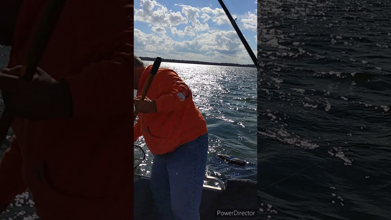 First Catfish ever caught on Trapper Tackle hooks and on a Rod i made just a day before hand 