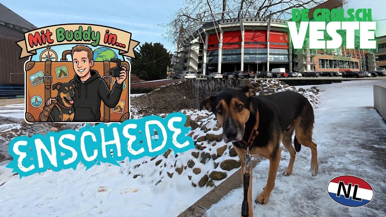Mit Buddy in ENSCHEDE 🇳🇱 Lohnt sich ein Ausflug mit Hund?