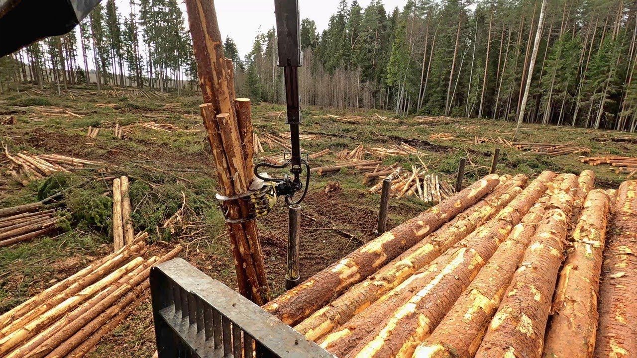 Forwarding Some Pine thinlogs  With JD 1010G 4K