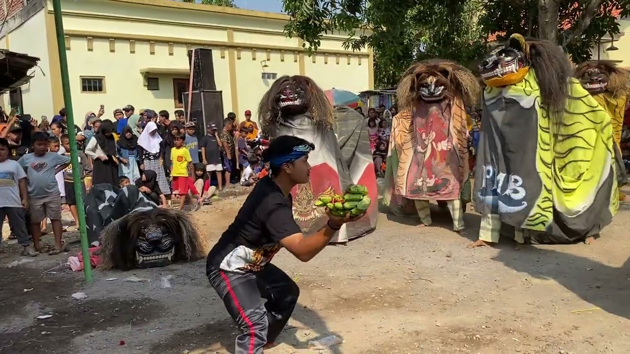 Rampak 11 Barongan Kolaborasi Beraksi‼️ Sudi Budoyo Mudho Live in Karangayu