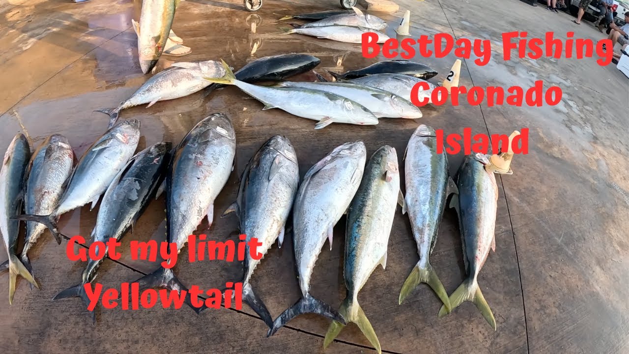 Best Day Fishing ( Coronado Island 2025 )