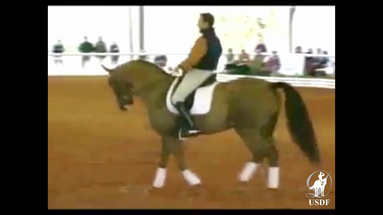1996 USDF National Symposium: Robert Dover 'riding' the Half Halt