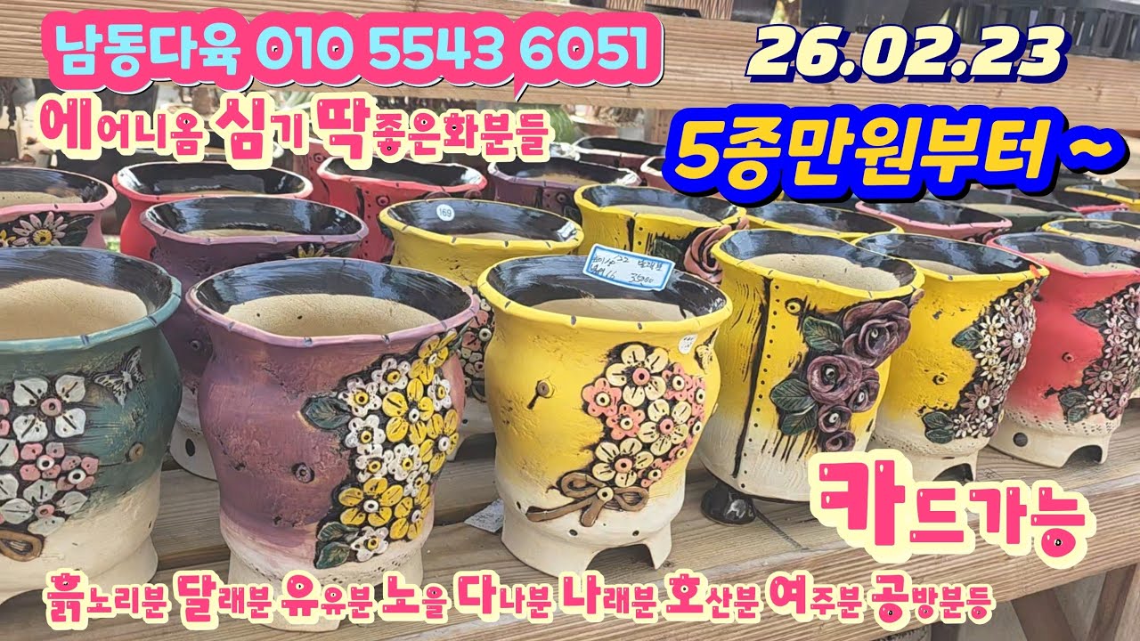 남동다육화분/5종만원부터~/에어니옴심기 딱좋은화분까지 넘이쁜 화분들 득템하세요 