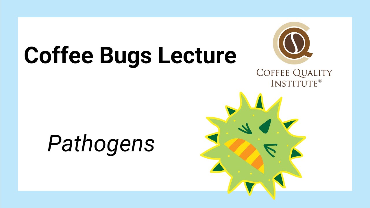 Coffee Bugs Part 2 - Pathogens