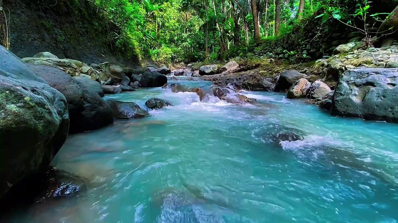 Forest River Night Flow, Mountain Stream Sounds, Sleep