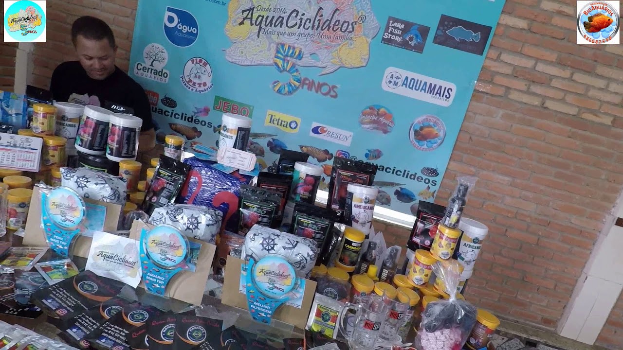 BioAqu&aacute;rios no aniversario do grupo AquaCiclideos com palestra do Renato Monterani