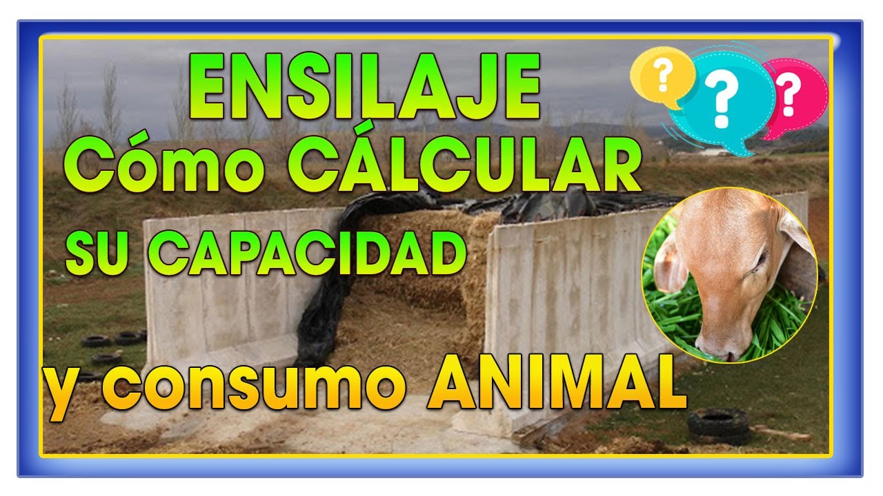 Ensilaje como Calcular la capacidad de un silo y consumo animal ǀ Ing. Jannin Hernández Blandón
