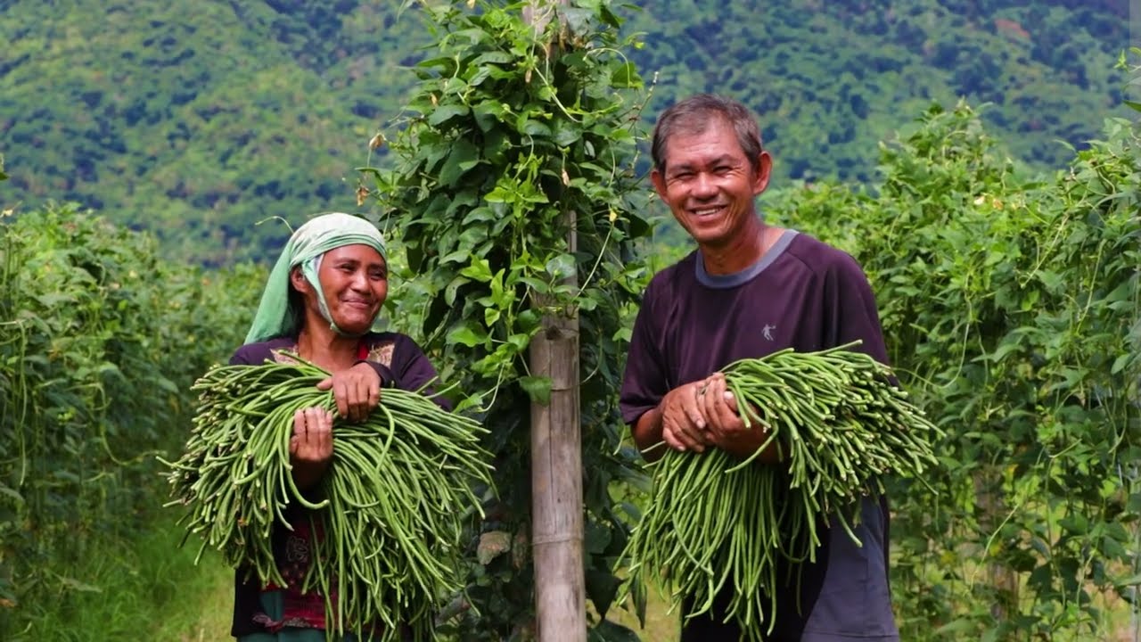 How These Filipino Farmers Fought Floods and Drought to Build a Better Life