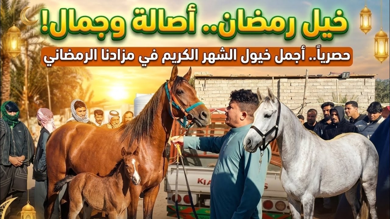 أقوى مزاد خيل عربي أصيل في رمضان🌙|فرس عربية أصيلة نادرة مع مهرها تباع بسعر 5000.000 🇮🇶🔥تشعل المنافسة