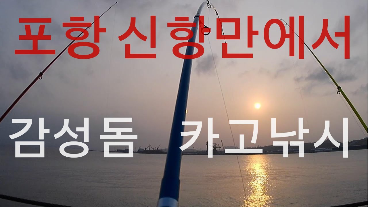 포항 신항만뜬방파제에서  감성돔카고낚시를....                          #감포방파제 #고등어낚시 #포항원투낚시 #포항학꽁치낚시 #fishing #학꽁치낚시