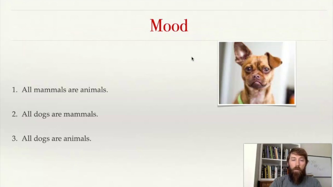 Categorical Syllogisms: Form, Mood, and Figure