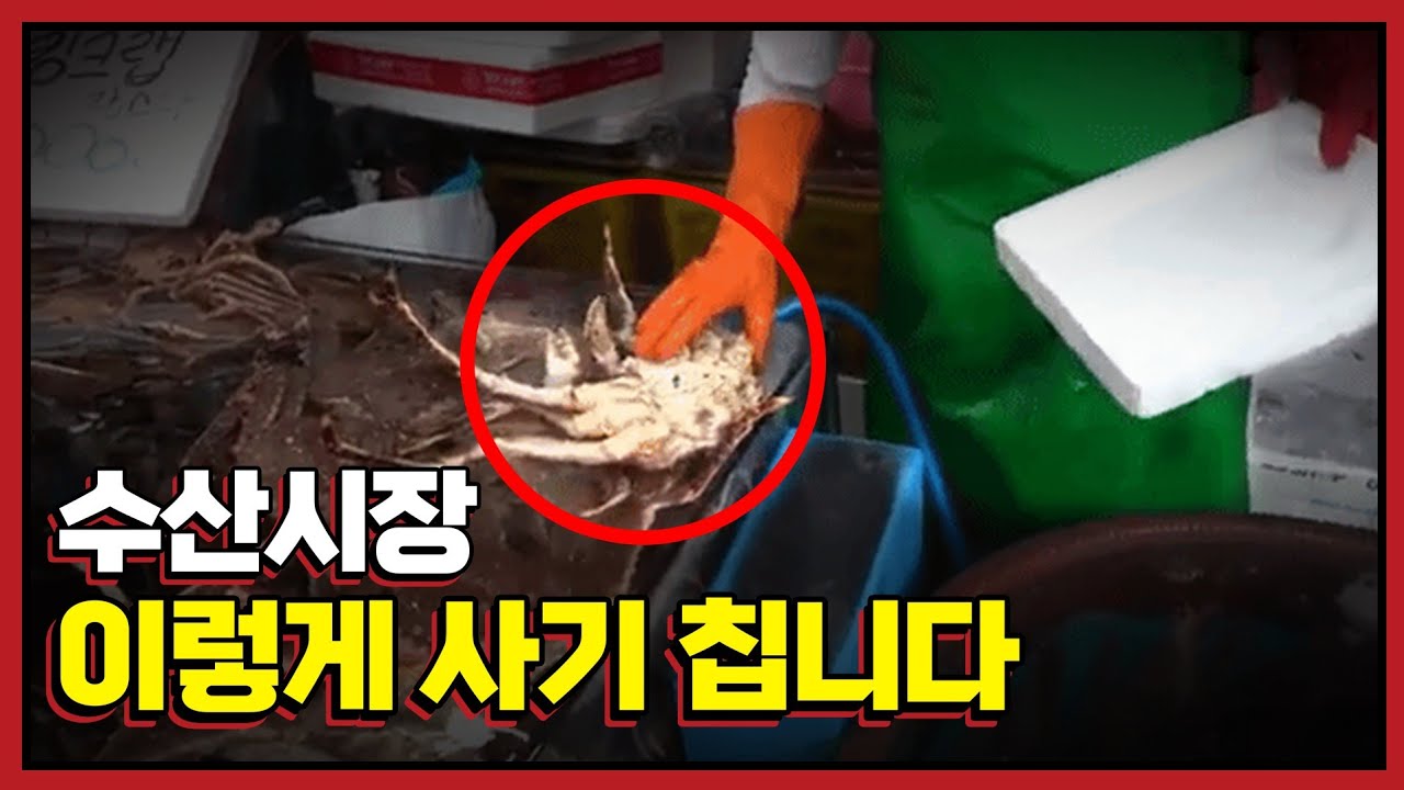 수산시장에서 마술 트릭을 개발하는 상인들