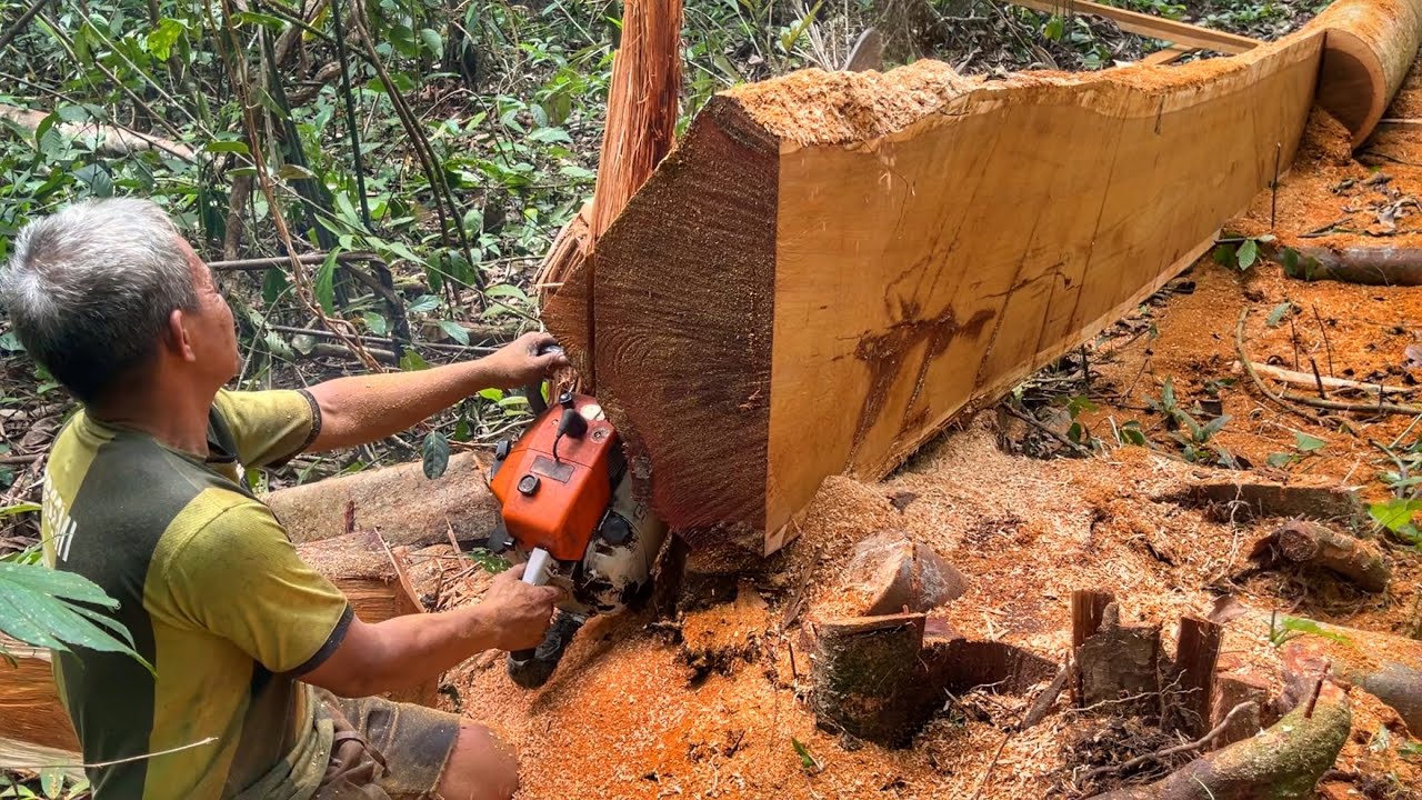 Membuat balok dan papan dari kayu Merbau menggunakan 2 mesin chainsaw STIHL ms 070 & ms 382