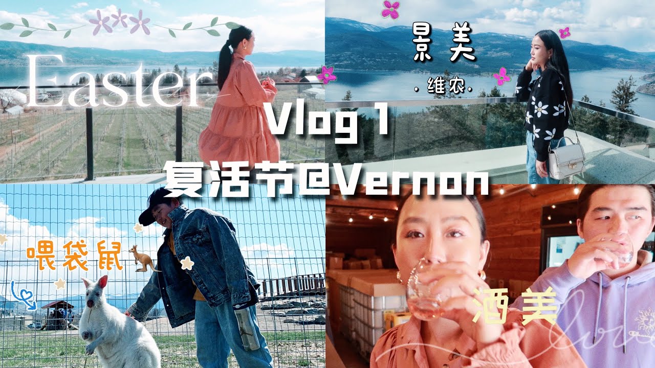 【VLOG】Vernon | 复活节维农三日游 |生日晚餐 |袋鼠公园 |羊驼酒庄 | 翘好喝的苹果酒| 带娃日常| 逛吃逛喝～【那羊】
