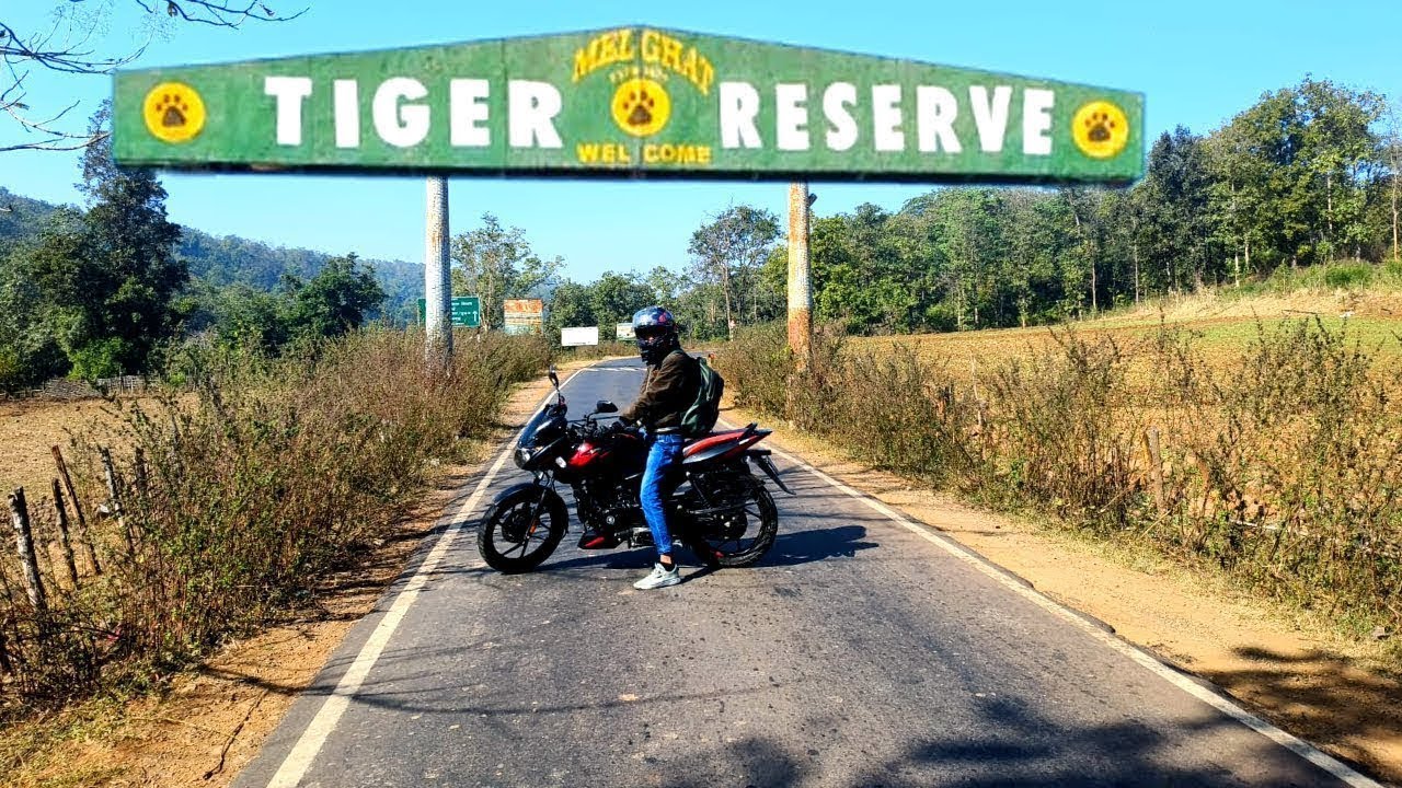 The SHOCKING Truth About Traveling to Melghat Tiger Reserve from Amravati