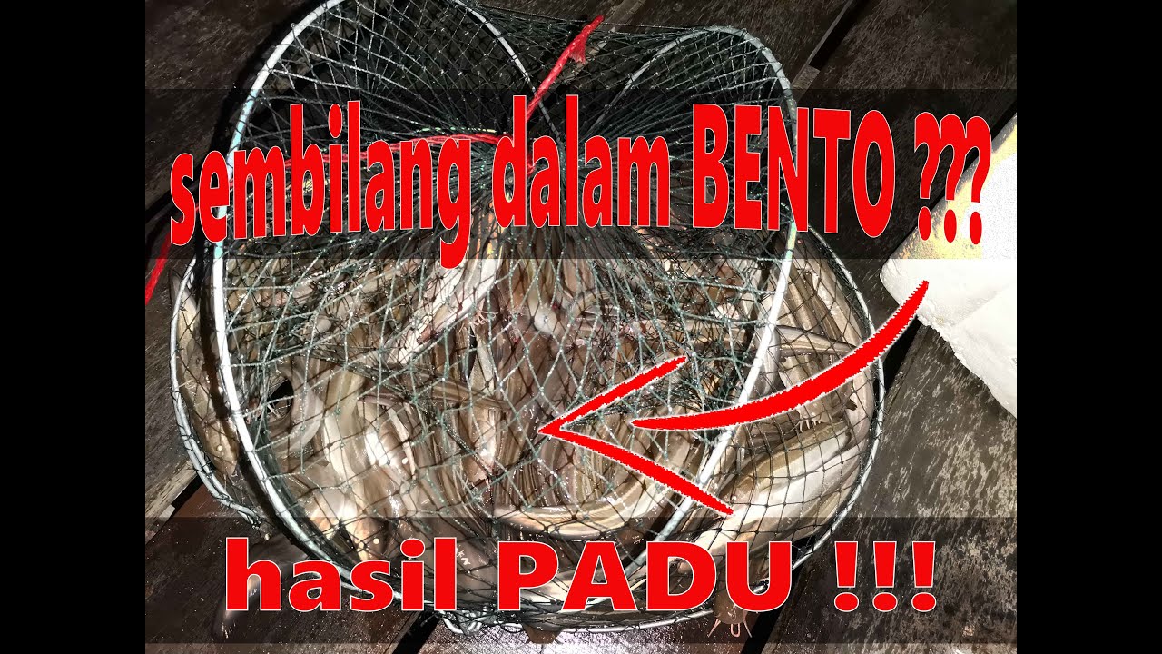 Vlog#09 Memancing di Kelong Pasir Panjang, Port Dickson
