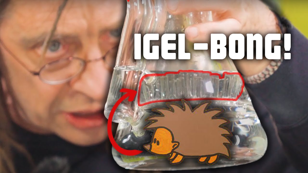 DIE GENIALE IGEL-BONG!