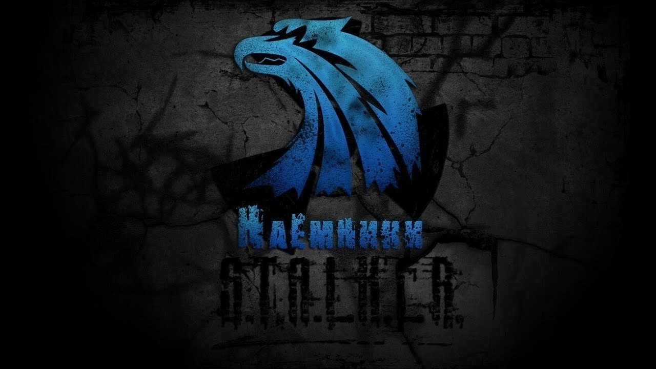 Тяжелые будни наёмника  #stalker #stalkerrp #dayz