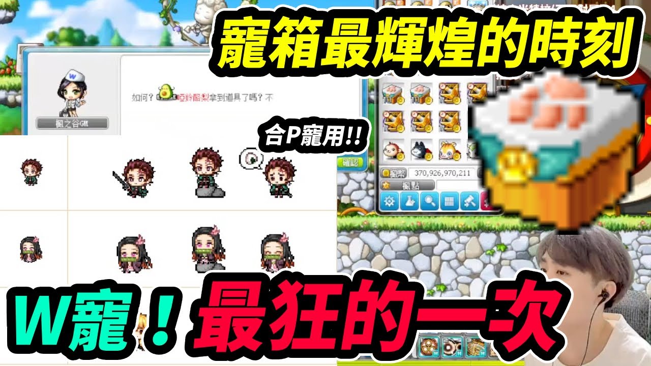 【新楓之谷】寵箱最狂的一次！W寵多到不可思議？🥑｜MapleStory｜메이플스토리｜楓界｜Leo里歐