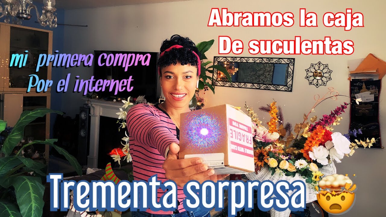 MI PRIMERA  COMPRA  DE SUCULENTAS POR EL INTERNET :  no se si llorar o reirme  por lo que recibi