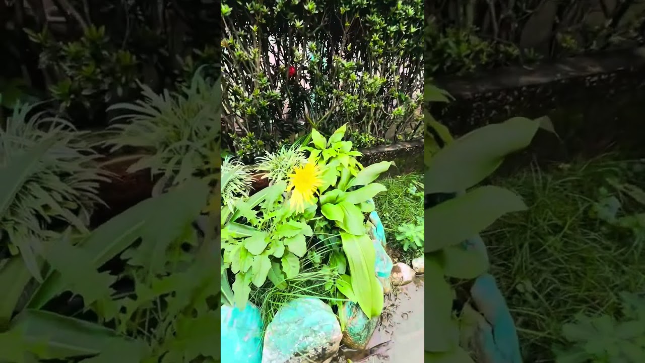 zone 4 baliguian