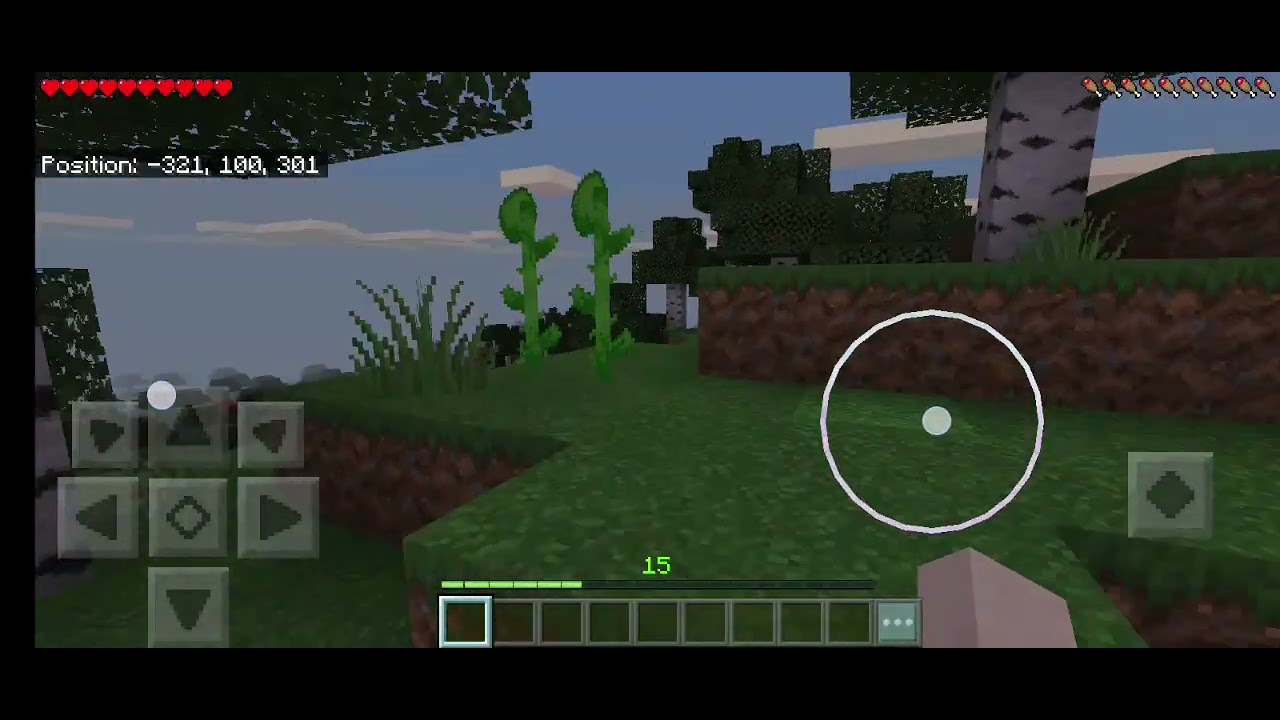 Day 245 of playing Minecraft 