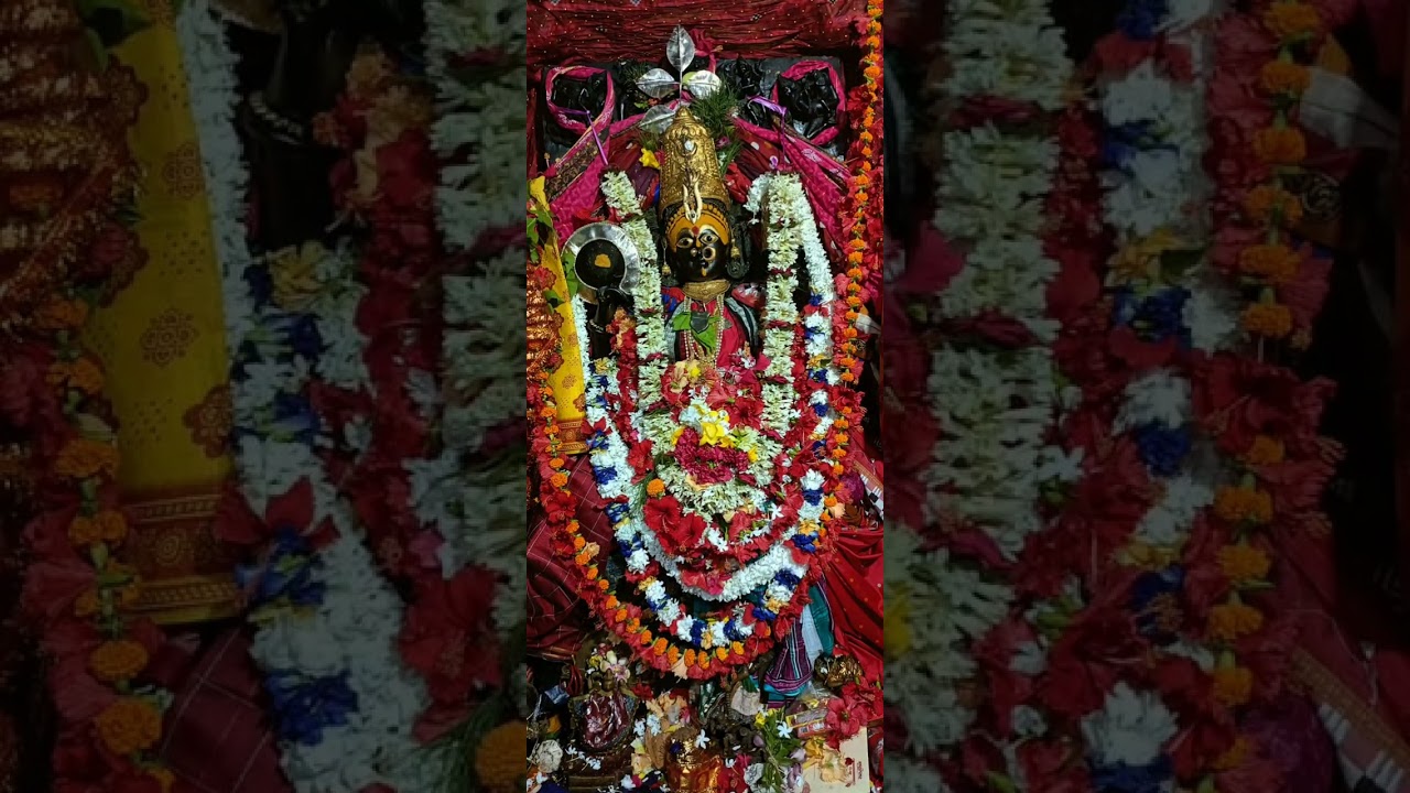 20 may 25|| ସକାଳ ବେଶ ଦର୍ଶନ କରନ୍ତୁ||କାକଟପୁର