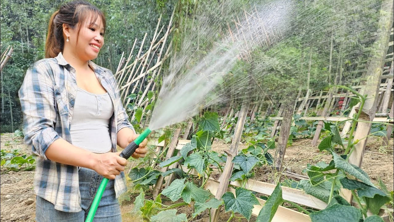 The mechanical girl installed a clean water system and watered crops during the drought season.