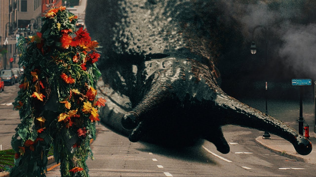 Grabule - Du vin de pissenlit (Vidéoclip Officiel)