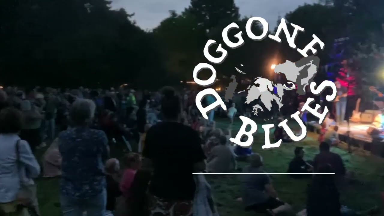 2022 Vijverfestival 2022 Highlights Jon Meyerjon Band  HD 720p