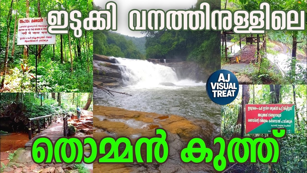 Thommankuthu Waterfalls | Vannappuram, Idukki Forest | Karimannoor,  Thodupuzha