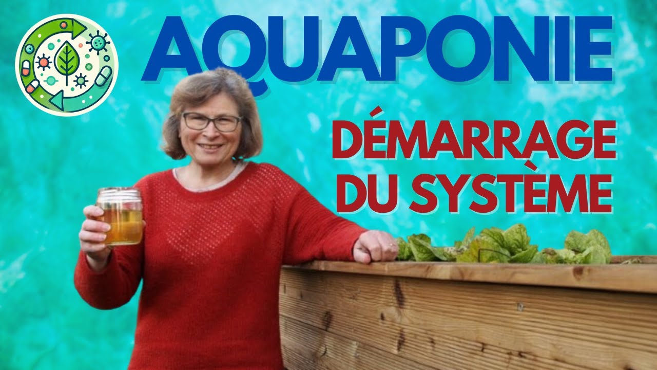 Cyclage en Aquaponie : Comment créer et maintenir un écosystème durable