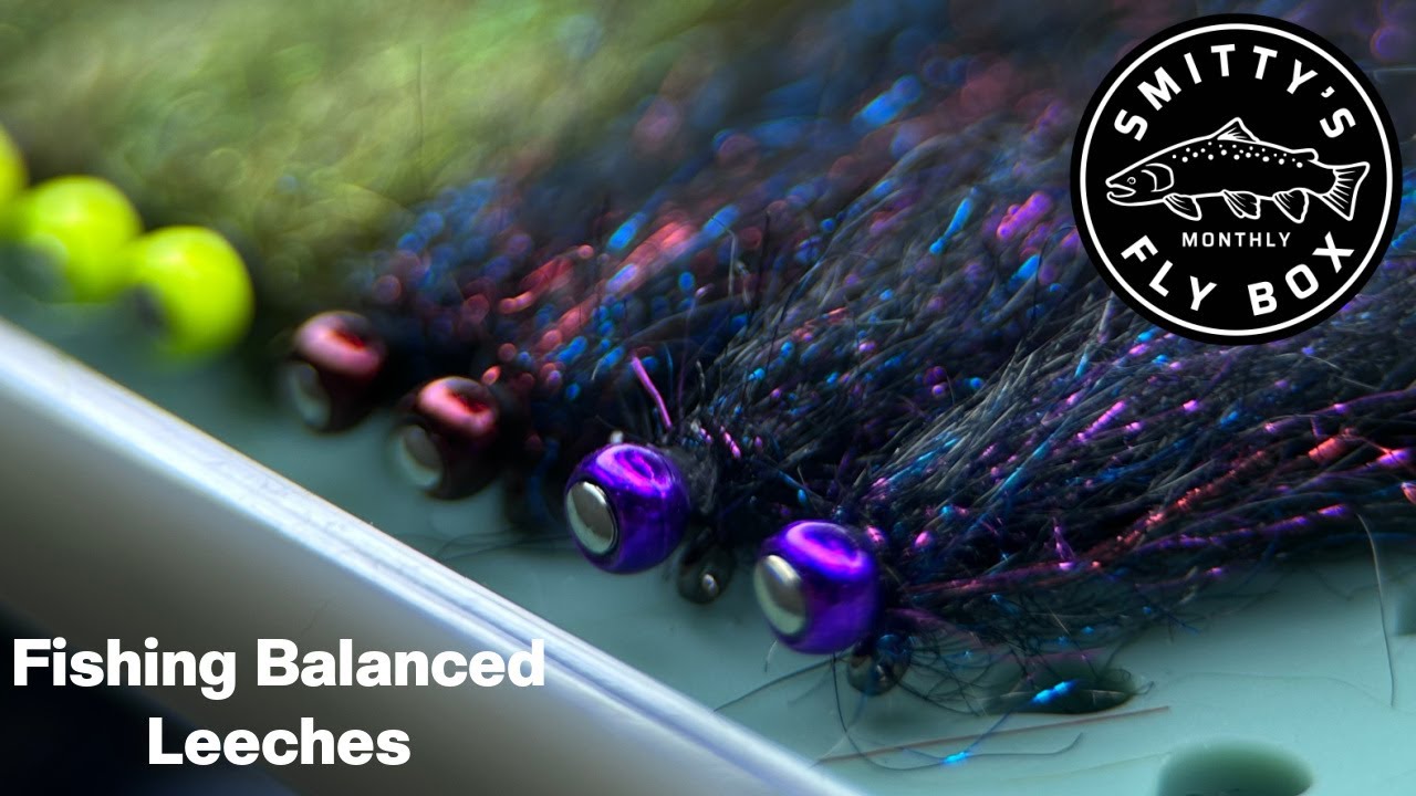 Fishing Balanced Leeches