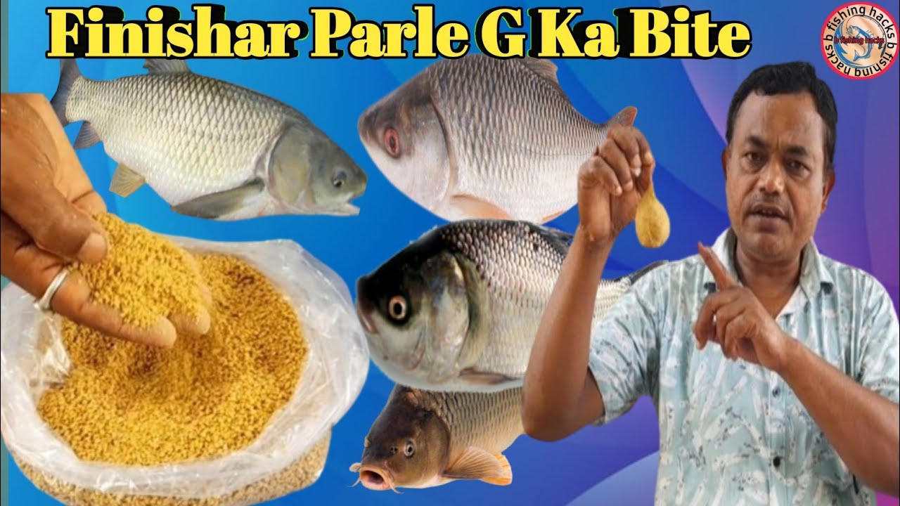Finishar  And Parle G  Ka Bite  Attraction for Rohu Mrigel Grass Carp Katla Comon Carp Etc Fish ✅️