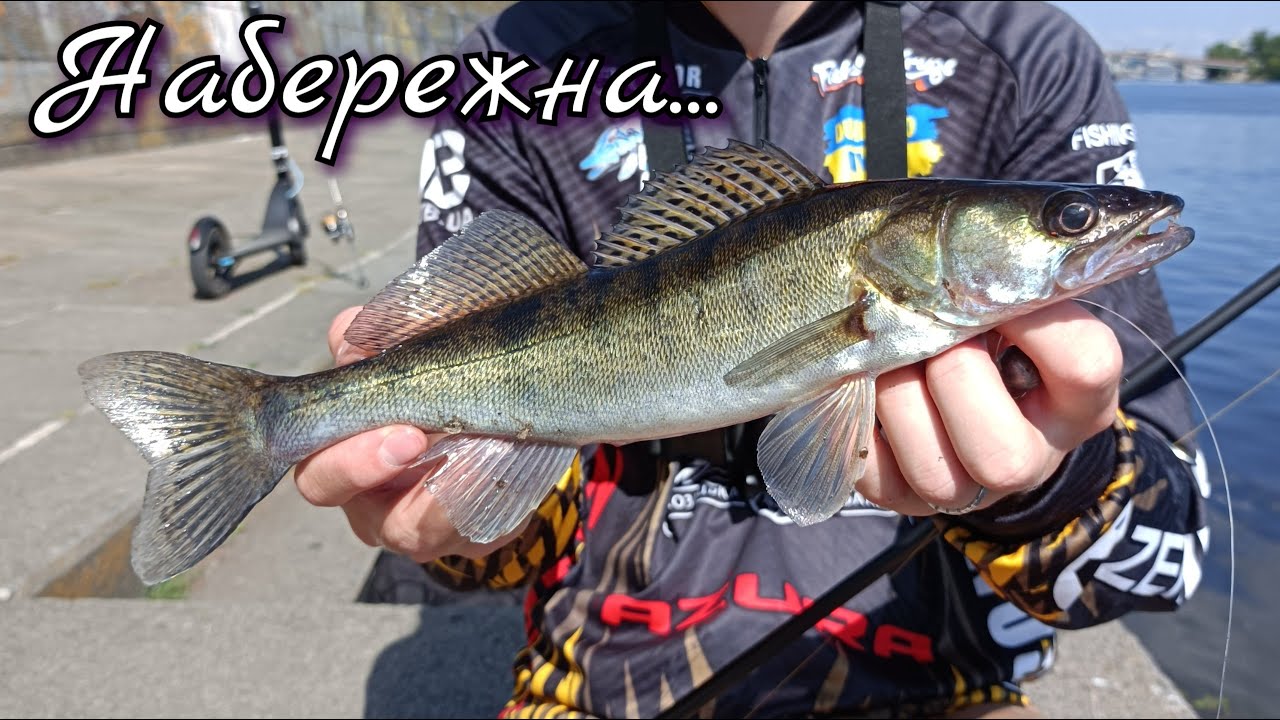 Рибалка на Набережній Києва. Ловля судака на джиг між зачепами