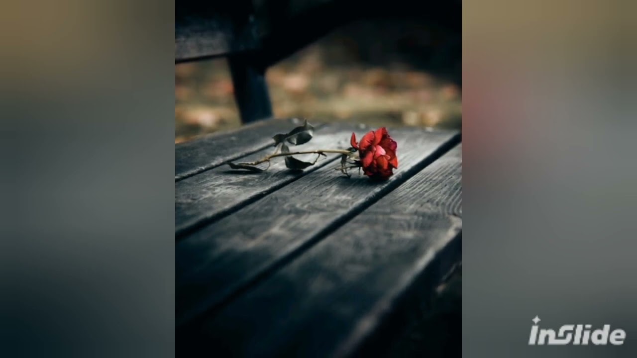 Fado de la rosa desnuda ( letra N. B. music. IA )