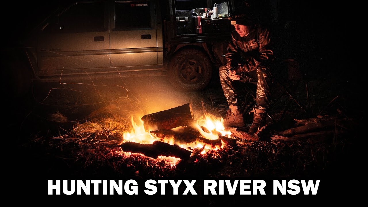 Four day solo hunting and camping trip in a NSW State Forest // STYX RIVER