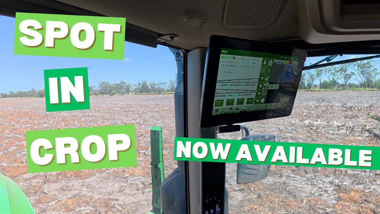 Spot In Crop from Weedit