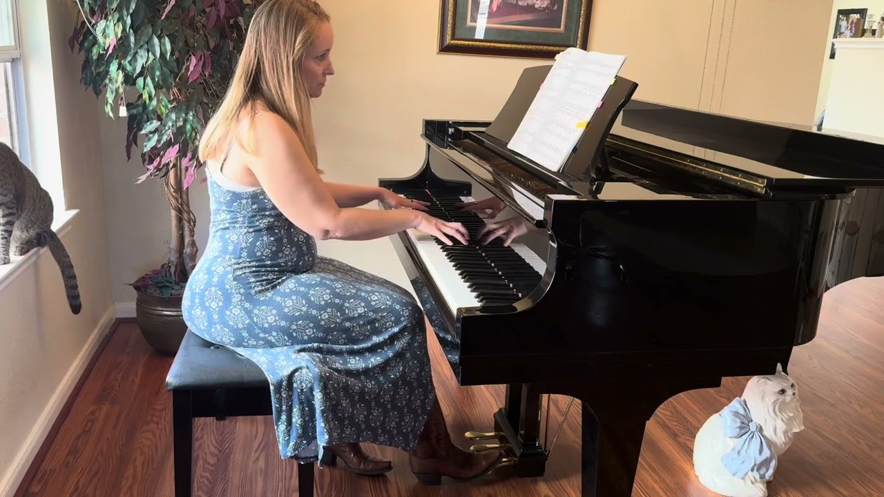 Cristofori's Dream, performed by Alecia Stringer