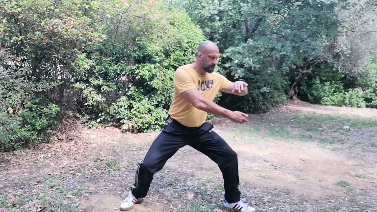 Taijiquan separare la criniera del cavallo, Taichi Firenze