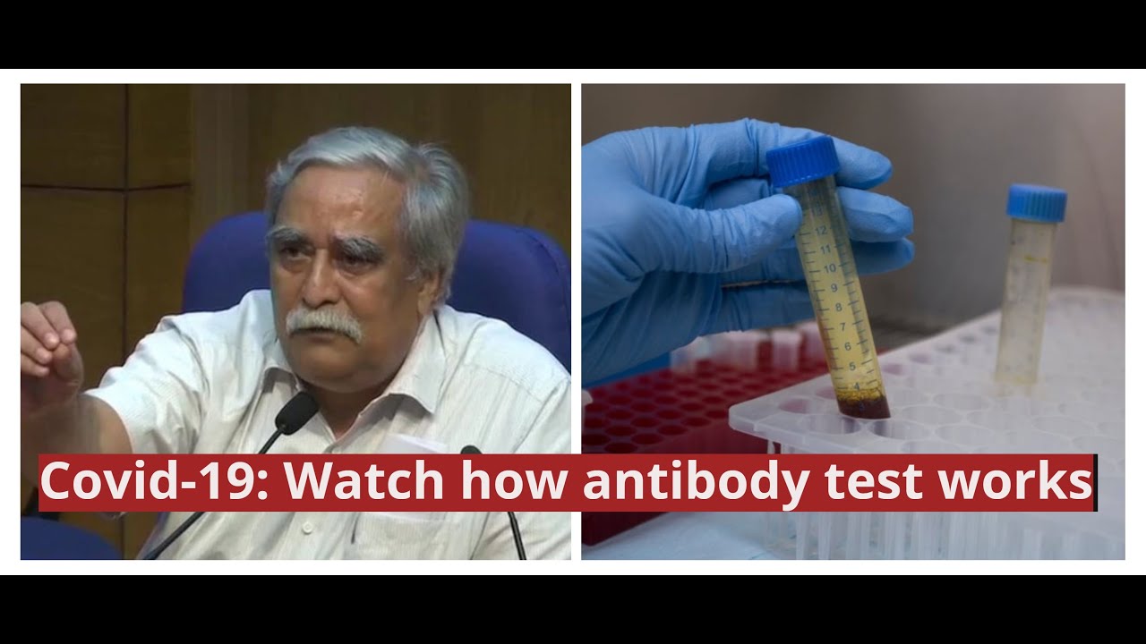 How rapid antibody tests for Coronavirus work? ICMR explains