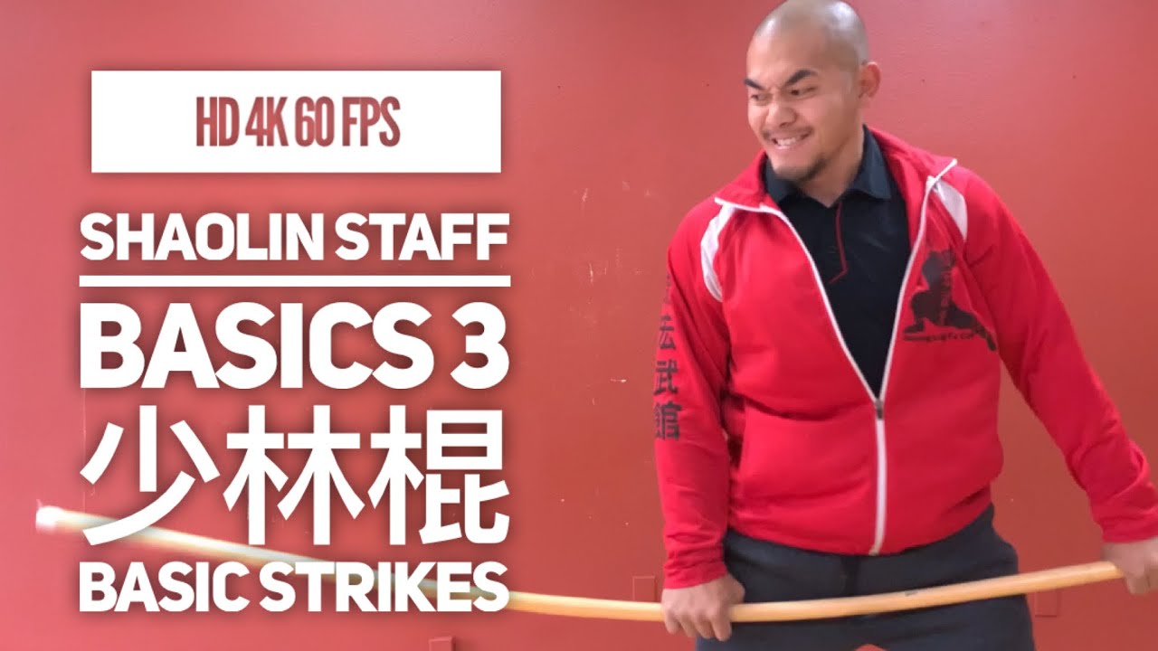 Shaolin Staff Basics 3 | Basic Strikes | 少林棍