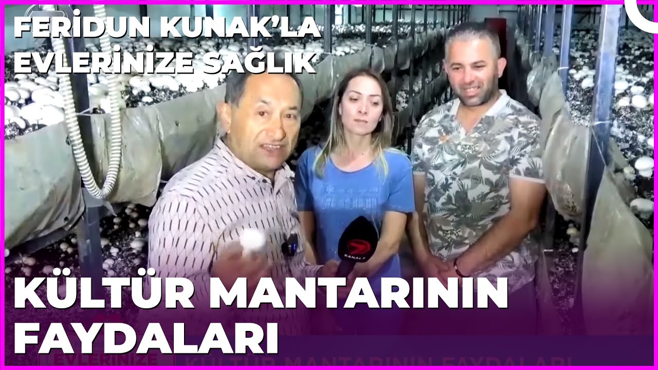 Kültür Mantarını Ne Sıklıkla Tüketmeliyiz? | Dr. Feridun Kunak’la Evlerinize Sağlık