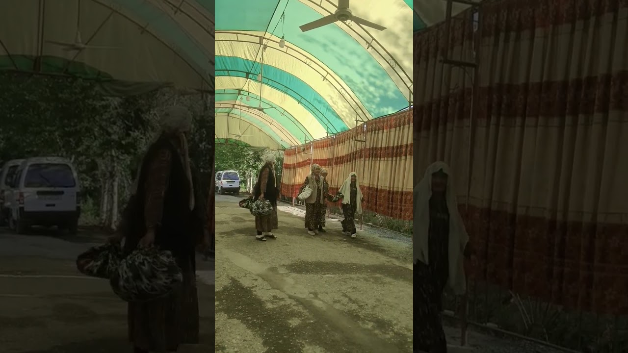 #Satsalizm ilhomjon nikox toy ayollar tashrifi