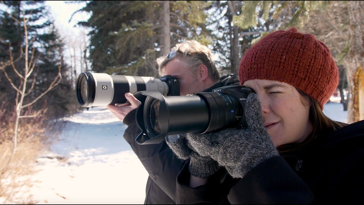 An Unfair Fun Shootout: Sony RX10 Mark IV vs. Sony a9 II