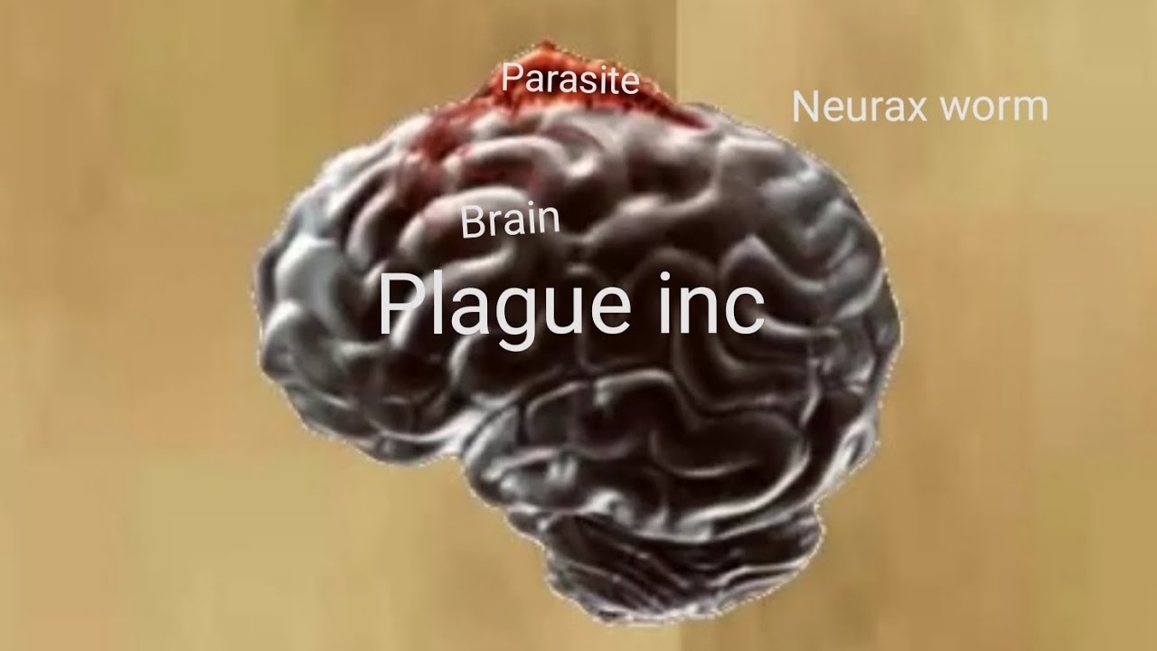 How Neurax Worm Begins (Plague inc) | Animation