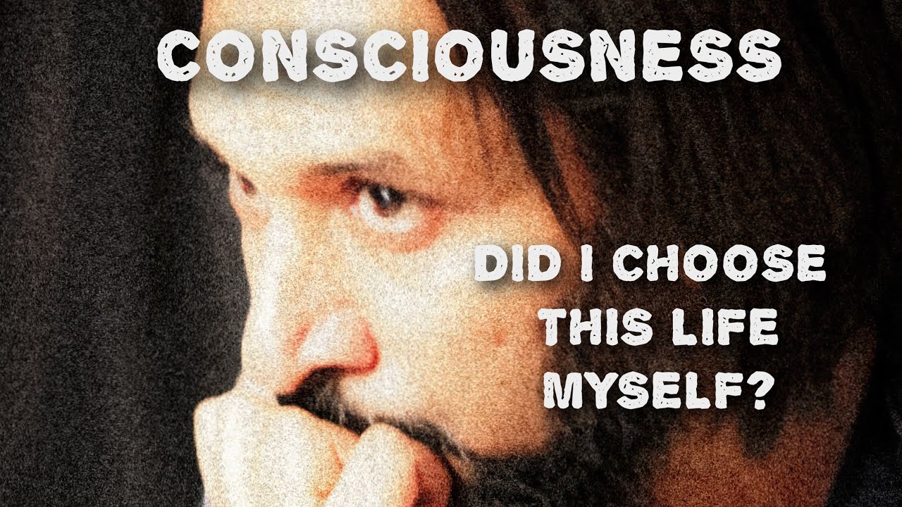 Did I come to earth on my own will and choice?