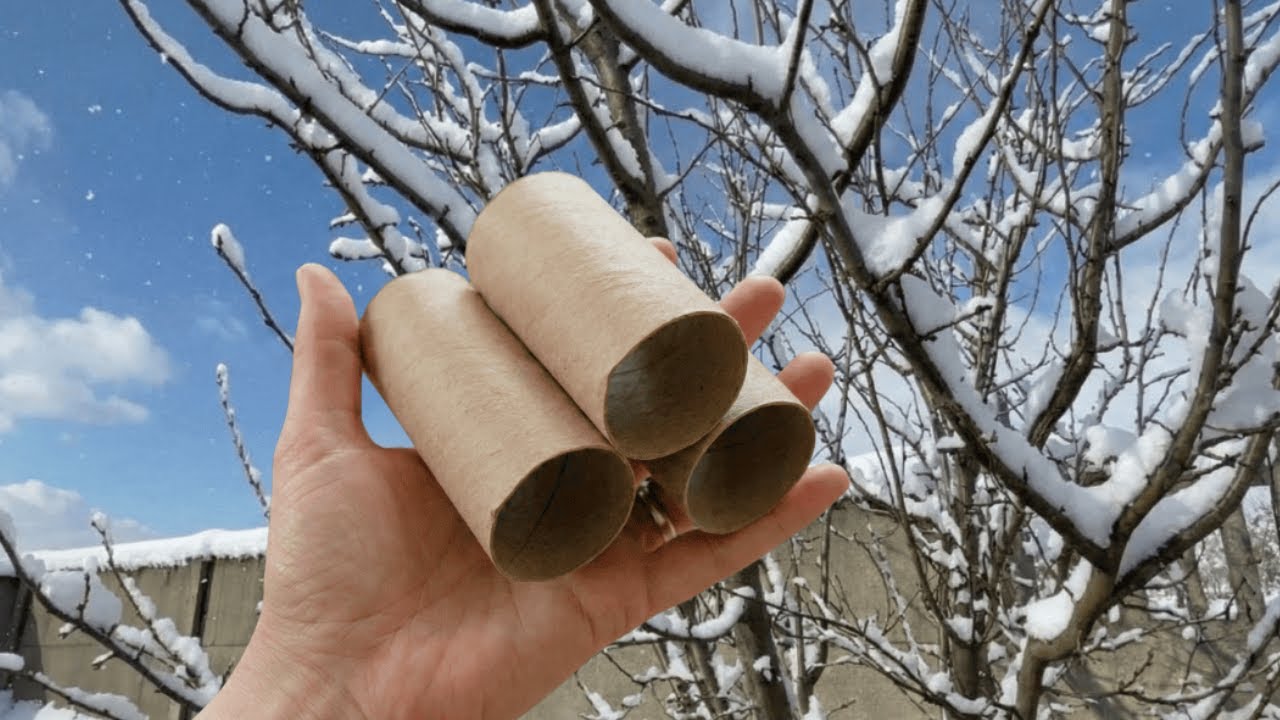 Powieś rolki po papierze toaletowym w swoim ogrodzie