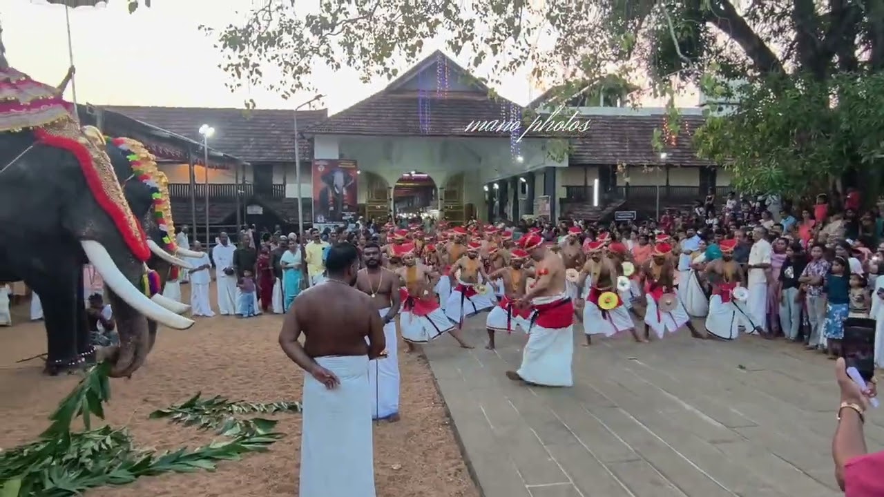വേലകളി ആശാൻ രാജീവ് പണിക്കർ മാത്തൂർ