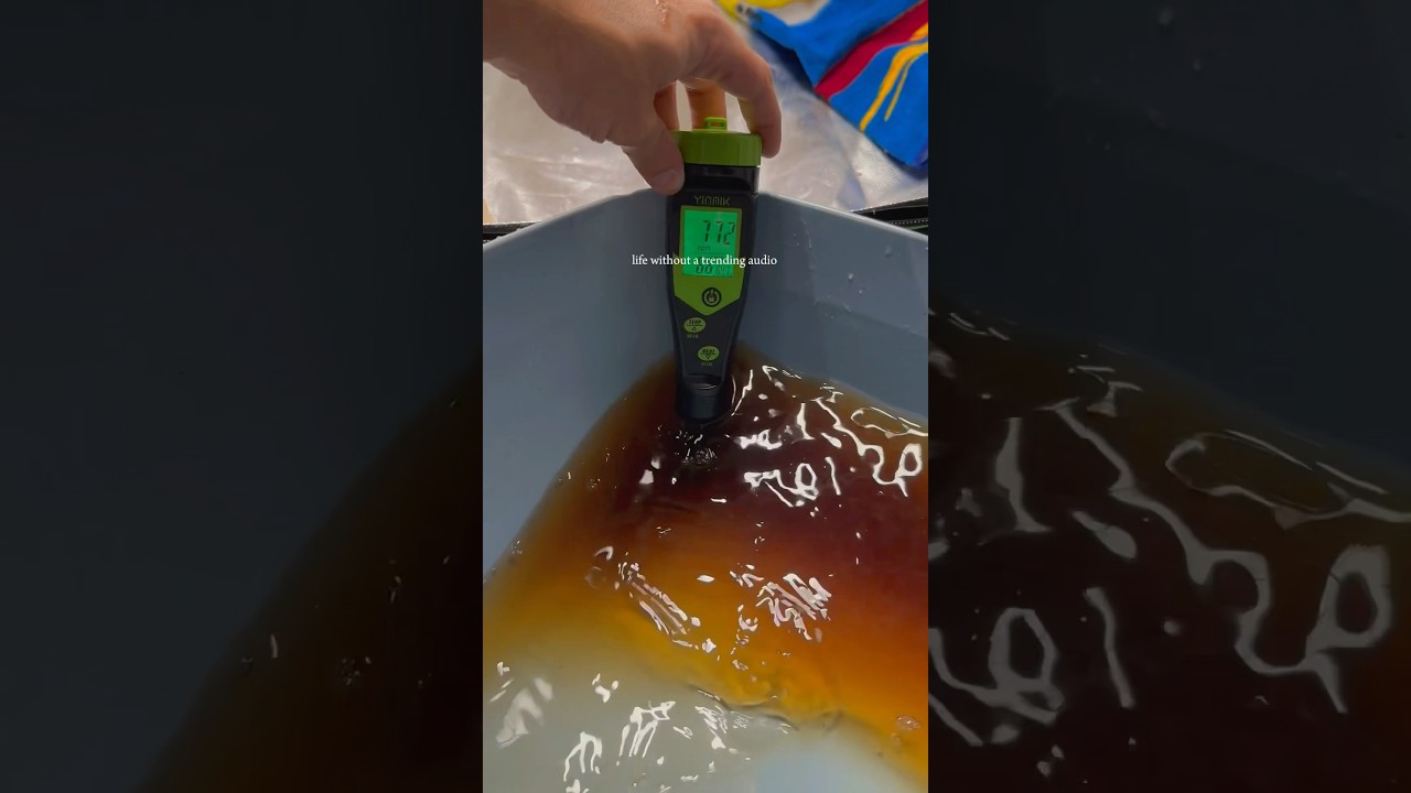 Final Feeding 🌱 Preparing for Harvest (Week 9)